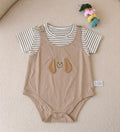 Baby Bear Suit